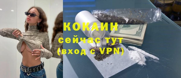 шишки Армянск