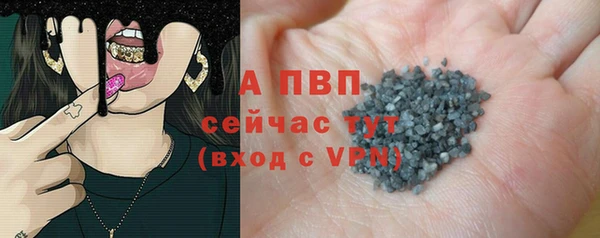 эйфоретик Баксан