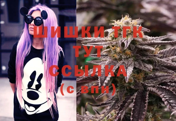 шишки Армянск