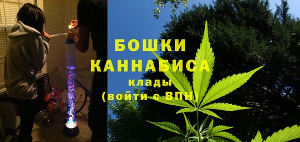 шишки Армянск