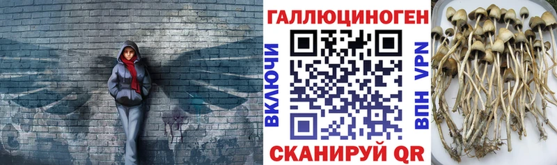 сайты даркнета формула  Губаха  Галлюциногенные грибы ЛСД  где можно купить   mega ССЫЛКА 