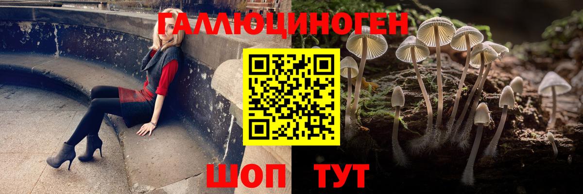 Губаха  Галлюциногенные грибы Psilocybe  Галлюциногенные грибы GOLDEN TEACHER  Вход с VPN 