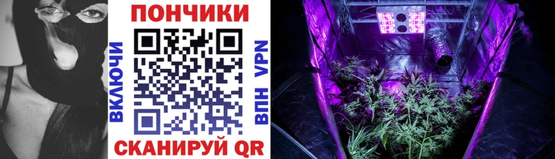 купить наркоту  Губаха  Бошки Шишки гибрид 