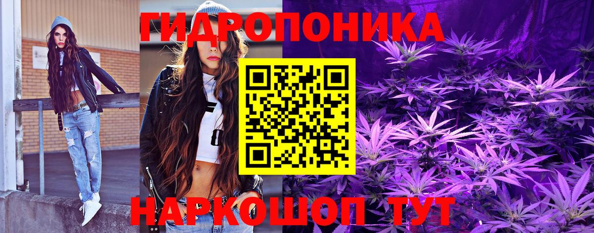 Бошки Шишки MAZAR Губаха